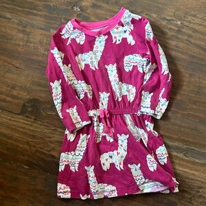 Good condition super cute llama dress!